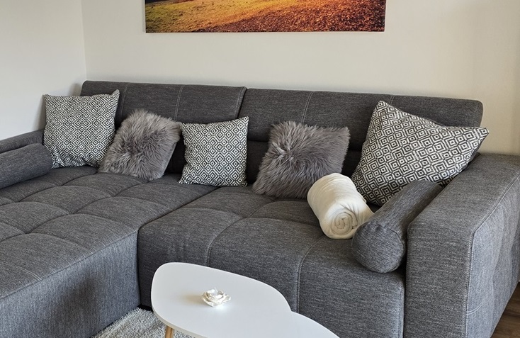 Ferienwohnung Borg in Burg Steinfurt - Wohnzimmer