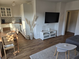 Ferienwohnung Borg in Burg Steinfurt - Küche